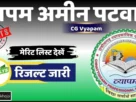 Cg amin patwari result 2026